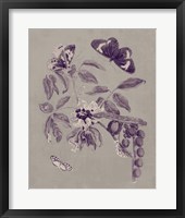 Framed 'Nature Study in Plum & Taupe II' border=