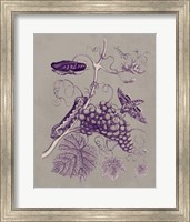 Framed 'Nature Study in Plum & Taupe III' border=