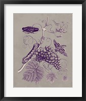 Framed 'Nature Study in Plum & Taupe III' border=