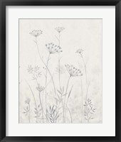 Neutral Queen Anne's Lace I Framed Print