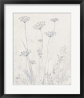 Neutral Queen Anne's Lace II Framed Print