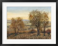 Overlook II Framed Print