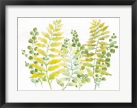 Mixed Greenery I Framed Print