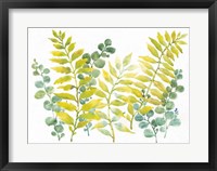 Mixed Greenery II Framed Print