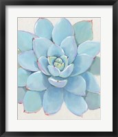 Pastel Succulent I Framed Print