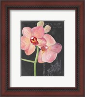 Framed 'Chalkboard Flower I' border=