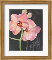 Framed 'Chalkboard Flower I' border=