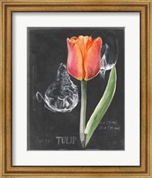 Framed 'Chalkboard Flower III' border=