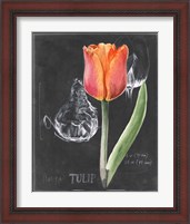 Framed 'Chalkboard Flower III' border=