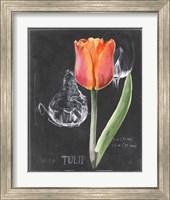 Framed 'Chalkboard Flower III' border=