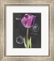 Framed 'Chalkboard Flower IV' border=