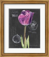 Framed 'Chalkboard Flower IV' border=