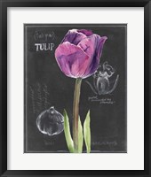 Framed 'Chalkboard Flower IV' border=