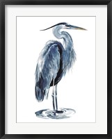 Blue Blue Heron I Framed Print