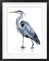 Framed Blue Blue Heron II