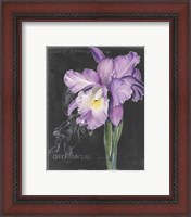 Framed 'Chalkboard Flower II' border=