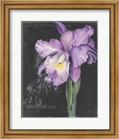 Framed 'Chalkboard Flower II' border=