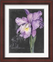 Framed 'Chalkboard Flower II' border=