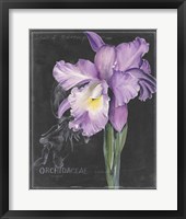 Framed 'Chalkboard Flower II' border=