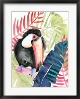 Toucan Palms II Framed Print