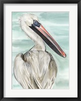 Turquoise Pelican I Framed Print