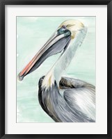 Turquoise Pelican II Framed Print