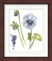 Framed 'Pansy Study I' border=