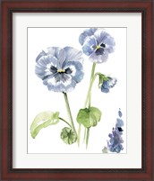 Framed 'Pansy Study II' border=