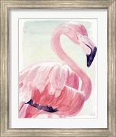 Framed 'Pastel Flamingo II' border=