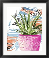 Framed 'Zebra Succulent I' border=