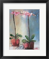 Orchid and Lace I Framed Print