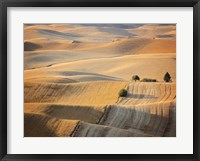 Farm & Field III Framed Print