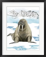 Arctic Animal III Framed Print