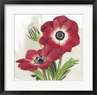 Framed Crimson Anemones II