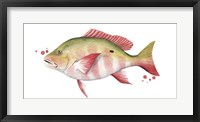 Chromatic Catch II Framed Print