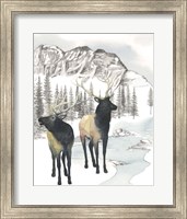 Framed 'Winter Elk II' border=