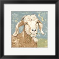 Framed 'Farm Life-Brown Goat' border=