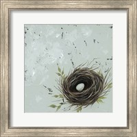 Framed 'Flower Nest I' border=