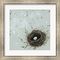 Framed 'Flower Nest I' border=