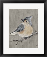 Winter Bird I Framed Print
