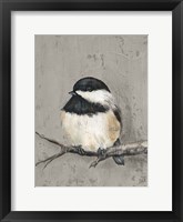 Winter Bird IV Framed Print