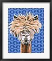 Animal Patterns IV Framed Print