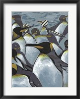 Colony of Penguins II Framed Print