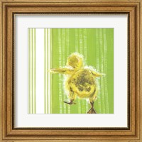 Framed 'Animal Baby IV' border=