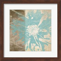 Framed Flower Flake I