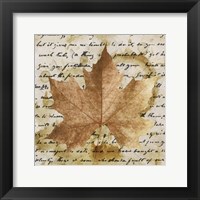 Earth Leaf I Framed Print