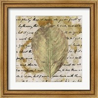 Framed 'Earth Leaf II' border=