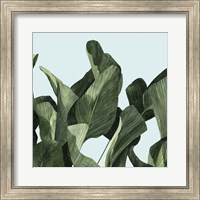 Framed 'Celadon Palms II' border=