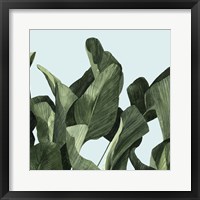 Celadon Palms II Framed Print