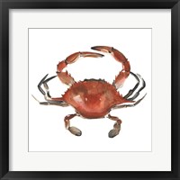 Watercolor Crab I Framed Print